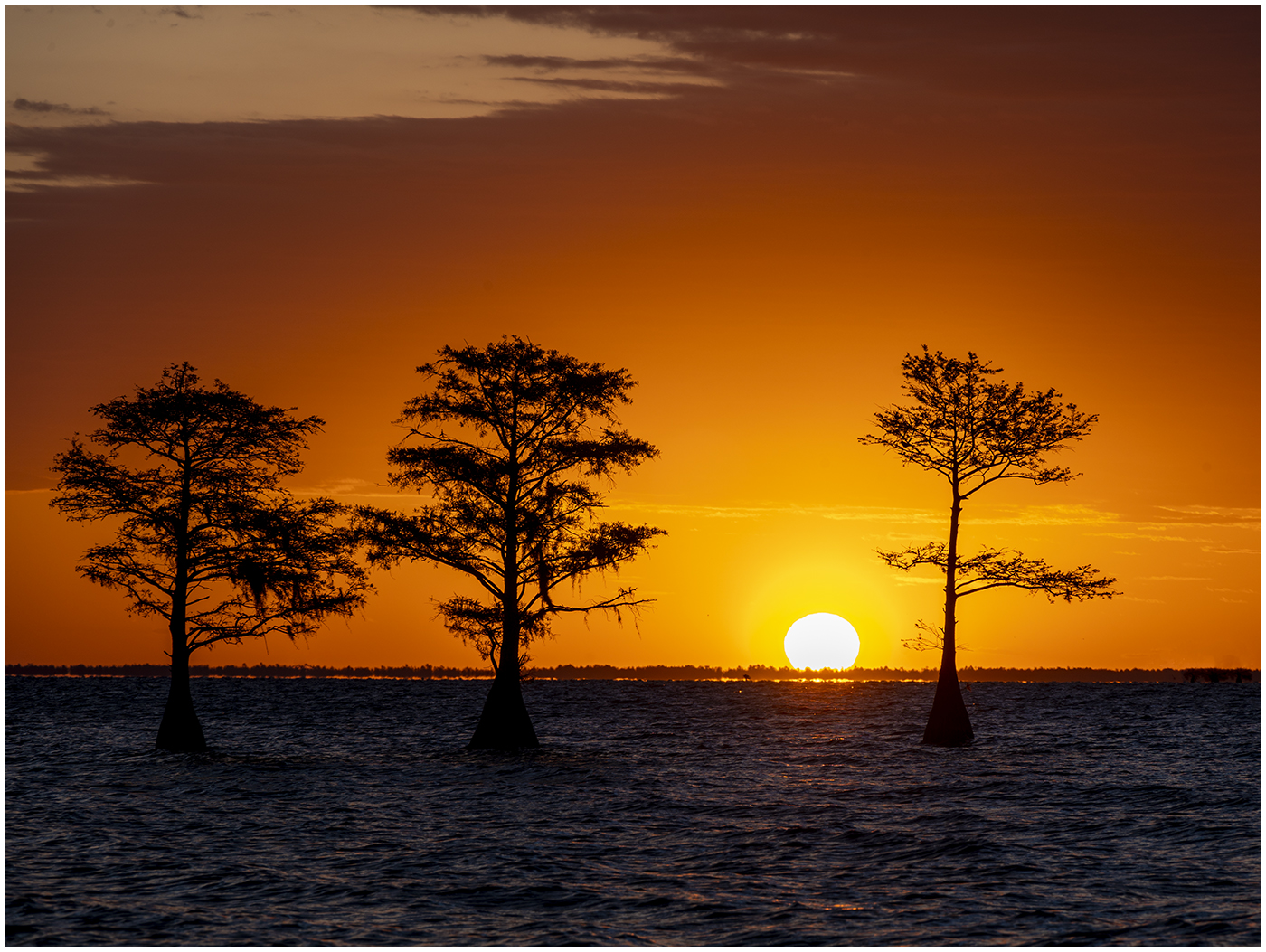 SEASCAPE BARRIER ISLAND SUNRISE 1400 1097 2022 APRIL copy 2 6e38df2d 9f24 4820 8653 ab642990ed4f